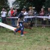 foire-haricots 2011-09-17et18